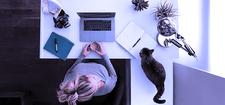 A woman working from home sits at a desk with a laptop and notebook. She is looking at a cat on her desk, and there is a second cat on the ground.