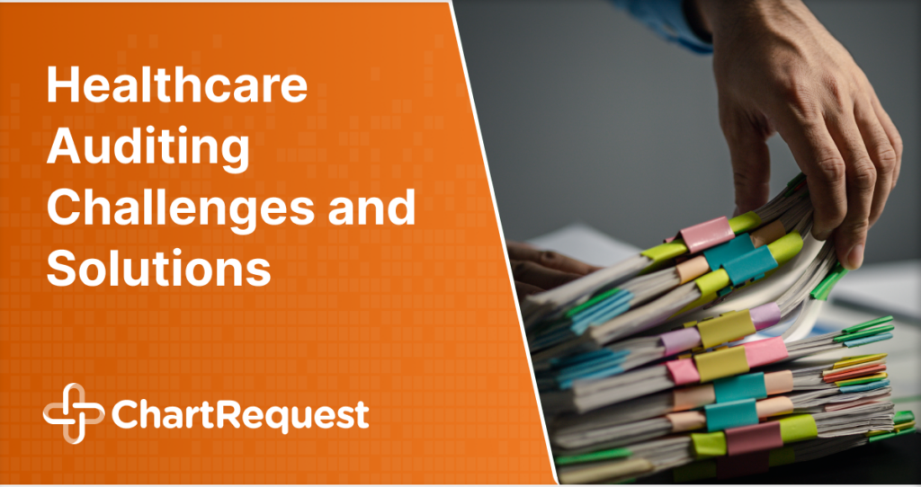 Healthcare Auditing Challenges and Solutions