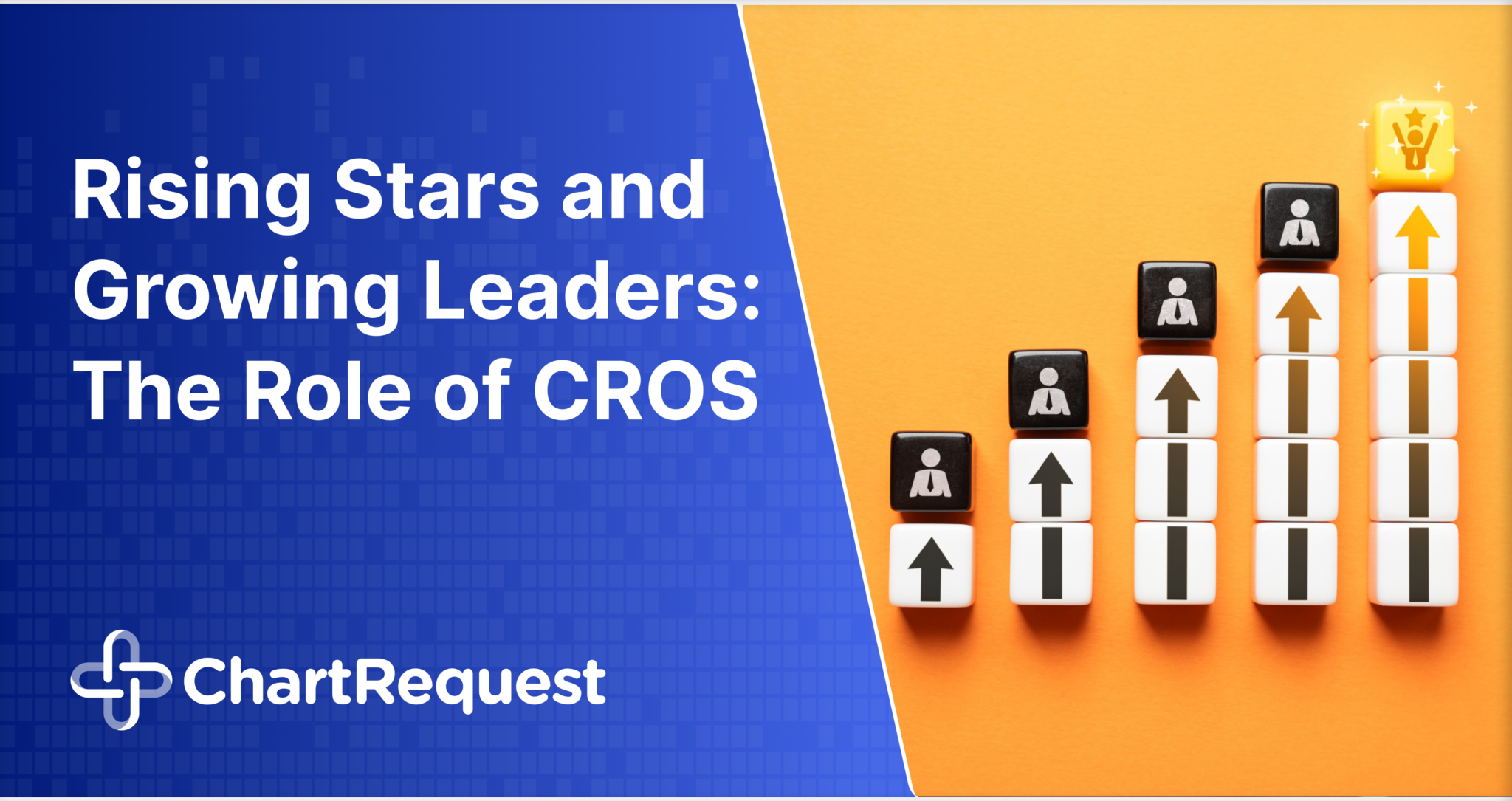 Rising Stars and Growing Leaders: The Role of CROS